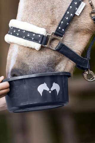 Bol à friandises Lucky avec couvercle 2L