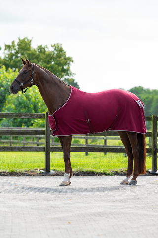 Fleecedecke mit dekorativer Biese Bordeaux/Silber