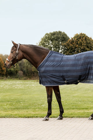 Economisches Fliegendecke Navy