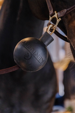 Boll Uppbindningsskydd Svart