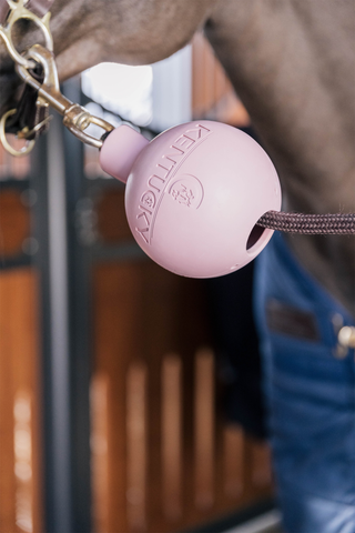 Boll Opbindingsbeskytter Old Rose