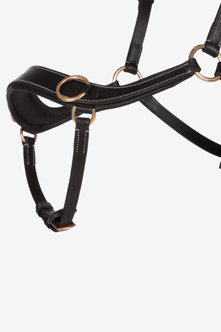 Bitloos Hoofdstel Anatomisch Zwart