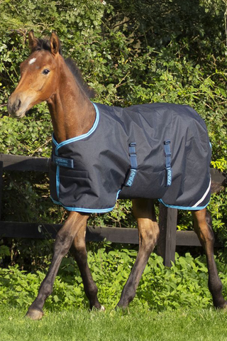Amigo Foal Rug Navy/Electric 50g