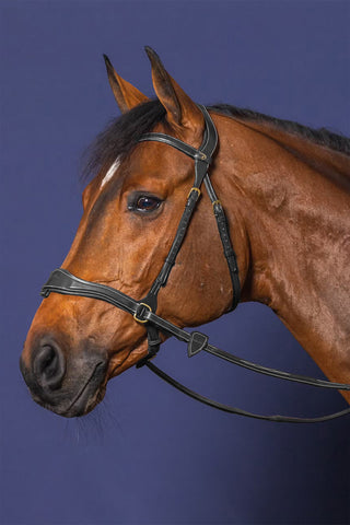 Träns D-Motion DYon Collection Svart