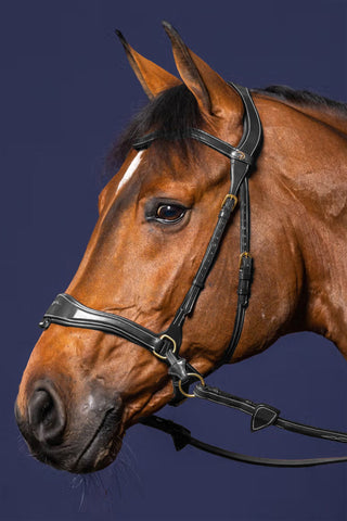 Träns D-Motion DYon Collection Svart