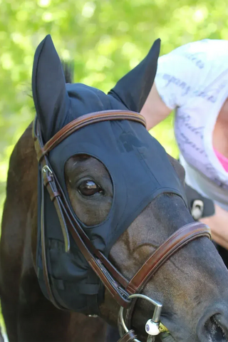 Fenwick Soundless Svart