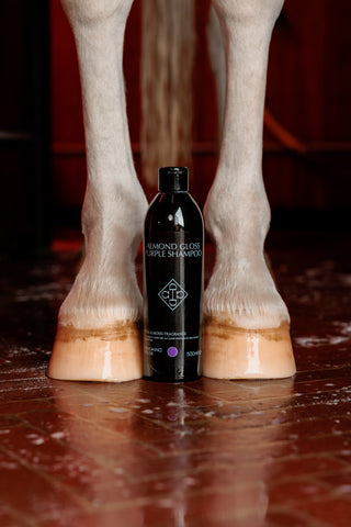 Almond Gloss Purple Shampooing 500ml
