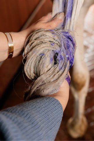 Almond Gloss Purple Shampooing 500ml