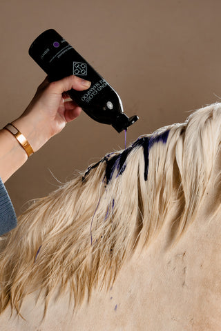 Almond Gloss Purple Shampooing 500ml