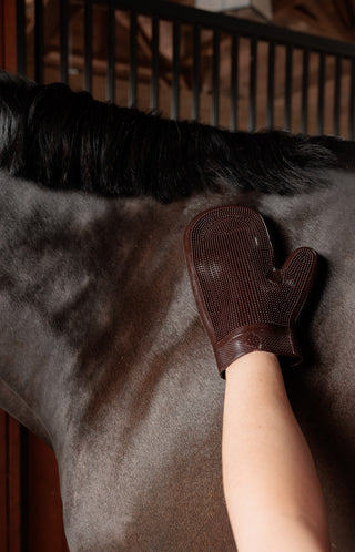 Grooming Deluxe Rubber Groominghandschoen Bruin