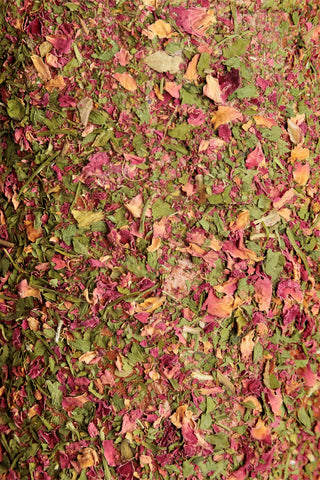 Trælegetøj Saltsten Luftveje Grøn