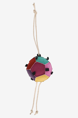 Horse Toy Ball Multi