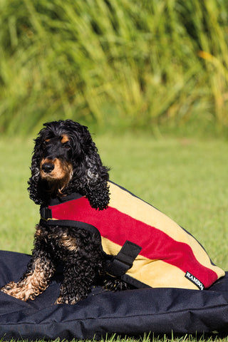 Hundtäcke Deluxe Whitney