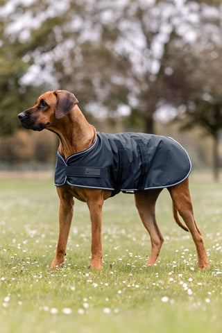 Dog Rain Rug Navy