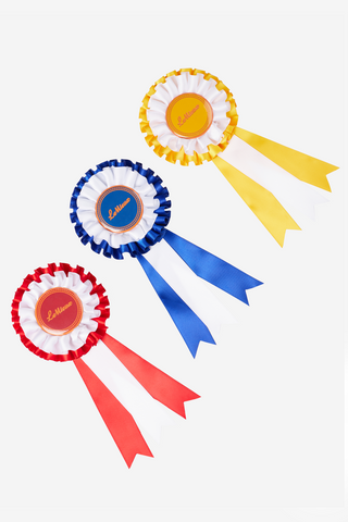 Pack de Rosettes pour Hobby Horse