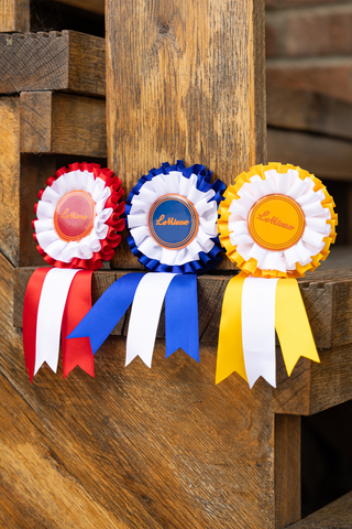 Pack de Rosettes pour Hobby Horse