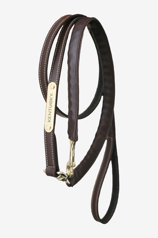 Chain Lead Rope Leather