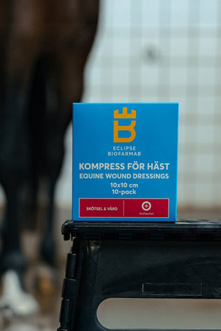 Compresse pour cheval 10x10cm