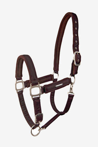 Aurora Halfter Bordeaux