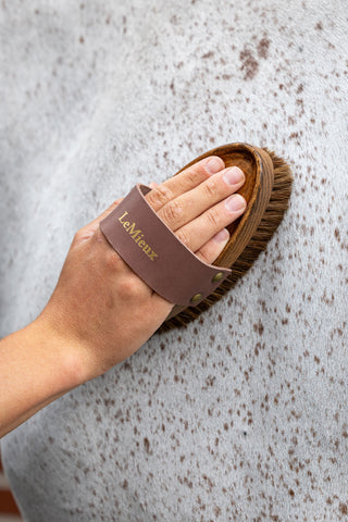 Artisan Soft Speckled Striegelbürste