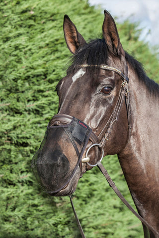 Protection de Nez Comfortshield Lot de 2