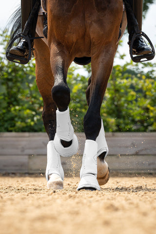 Guêtres de dressage Motionflex