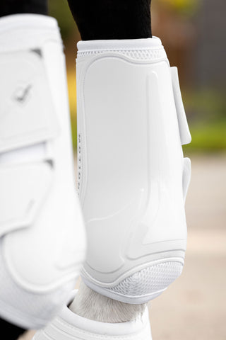 Guêtres de dressage Motionflex