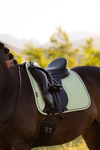 Dressyrschabrak Sammet Macaron