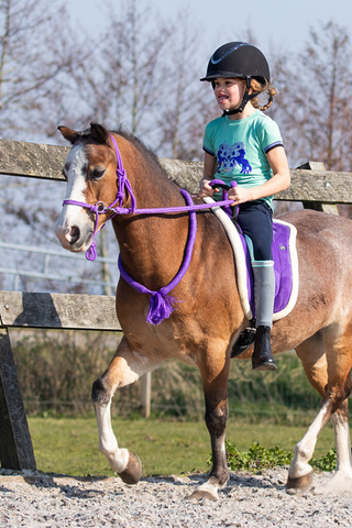 Barbacka Pad Passion Flower
