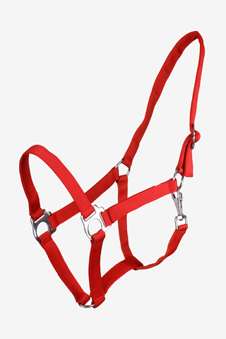 Halfter Slide Bright Red