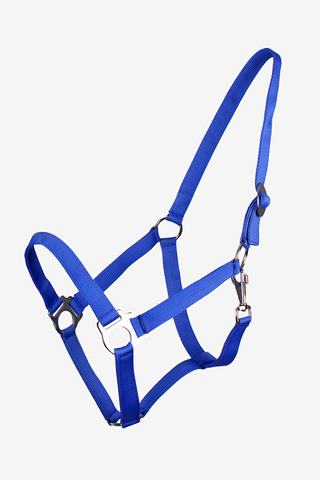 Halfter Slide Cobalt Blue