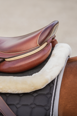 Ontario Pad Memory avec bord Noir