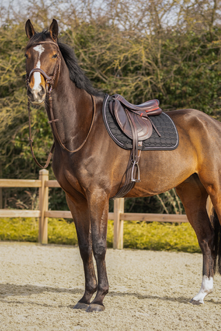 Saddle Pad Firenze Black