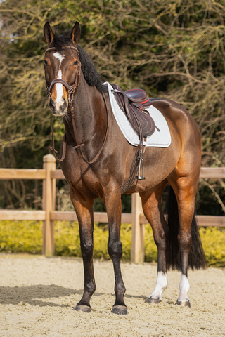 Firenze Schabrak Hvid