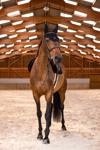 Set Schabracke + Fliegenhaube