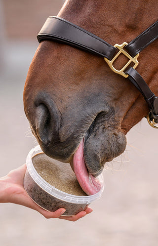 Stablesnack Licking Bowl 650g