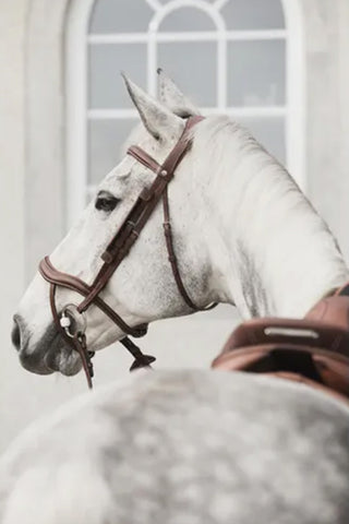 Trense Eccelente Cognac