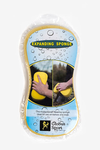 Éponge de lavage