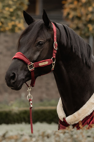 Velvet Grime Bordeaux