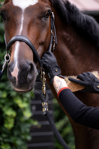 Vesta Grip Rijhandschoenen Navy