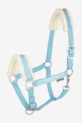 Licol Élégant Bleu Clair