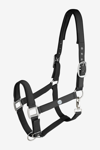 Trinidad Halfter Schwarz