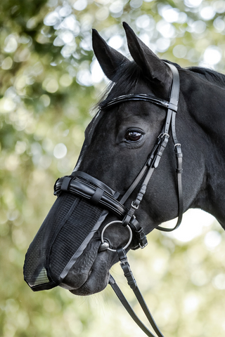 Nasenschutz mit UV-Schutz Schwarz