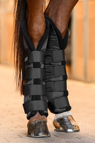 Bandages de box Postérieurs Noir