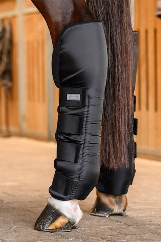 Bandages de box Postérieurs Noir