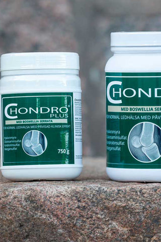 ChondroPlus 1500g