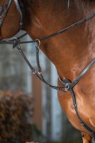 Dyón Kort Martingal Till Brösta New English