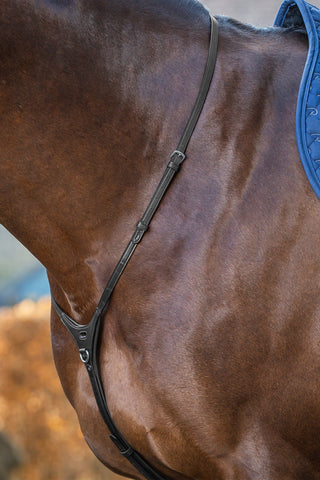 Halsrem För Martingal New English Svart