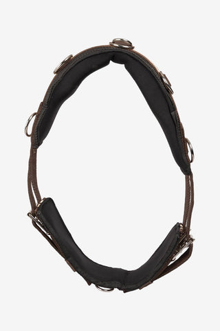 Globus Träningsgjord