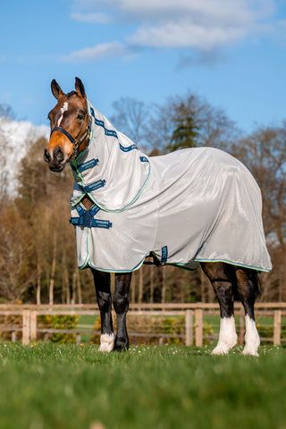 Amigo XL Bug Rug Fliegendecke